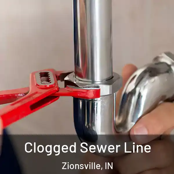  Clogged Sewer Line Zionsville, IN