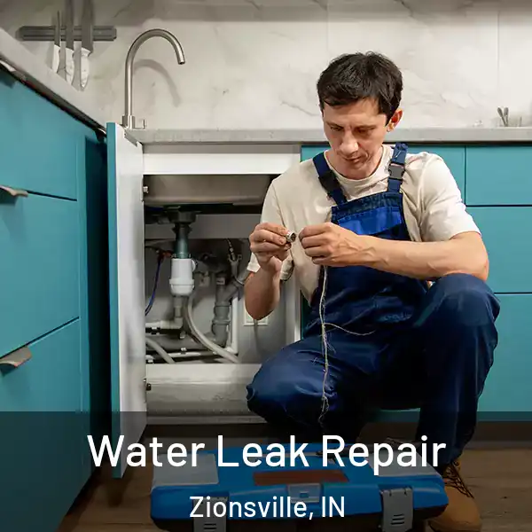  Water Leak Repair Zionsville, IN